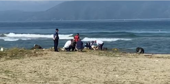 Vdekja e tre personave në plazh, dëshmitarët: Mund të kishin shpëtuar nëse do kishte vrojtues