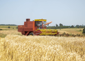 Në Ferizaj nis fushata e korrje-shirjeve
