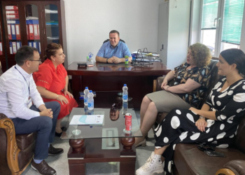 Verifikohen peshoret shumëtonëshe nga MINT