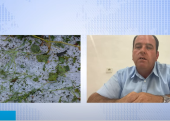 Komuna e Malishevës do t’i drejtohet nivelit qendror për kompensimin e dëmeve nga breshëri