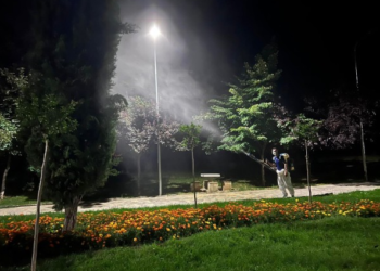 Komuna e Prishtinës e cilëson si problem evropian çështjen e mushkonjave