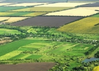 Peci paralajmëron publikimin e dëshmive të tjetërsimit të pronës publike, nga disa persona në institucione