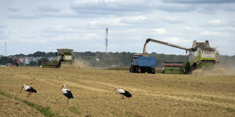 Rusia ndërprenë marrëveshjen me Ukrainën për transportimin e drithërave