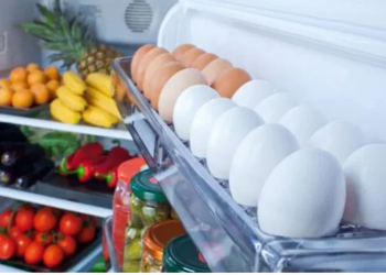 Pse në disa vende të botës vezët nuk ruhen në frigorifer