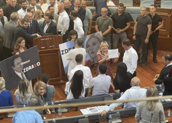 “A ma lirë një shishe ujë a një ari tokë”, deputetja e LVV-së i drejtohet opozitës