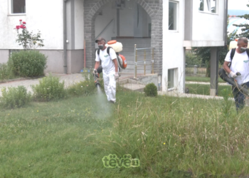 784 raste të pickimit të rriqrave në Malishevë