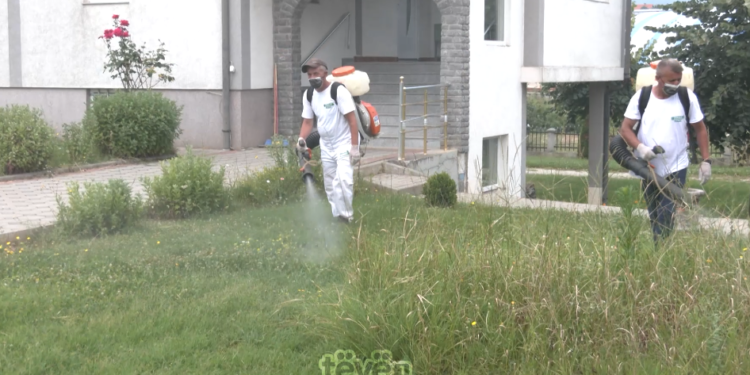 784 raste të pickimit të rriqrave në Malishevë