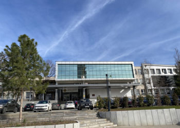 UP-ja së shpejti me kurse të gjuhës rome