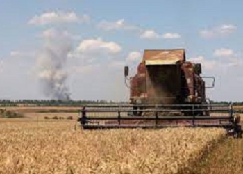 Çmimet e grurit rriten pasi Rusia kërcënon anijet