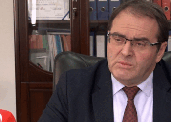 Regjistrimi i diasporës, Berisha: Të dhënat merren nga familjarët në Kosovë dhe në ambasada e konsullata