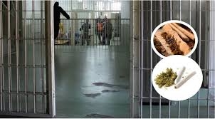 Gjendet marihuanë te një i burgosur në Qendrën e Paraburgimit në Pasjak