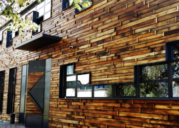 AVONET: Mbyllja e Klan Kosovës, ndërhyrje politike