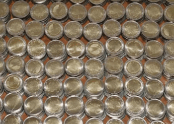 Me postë e TikTok, paratë false vërshojnë tregun, prej nga po vijnë?