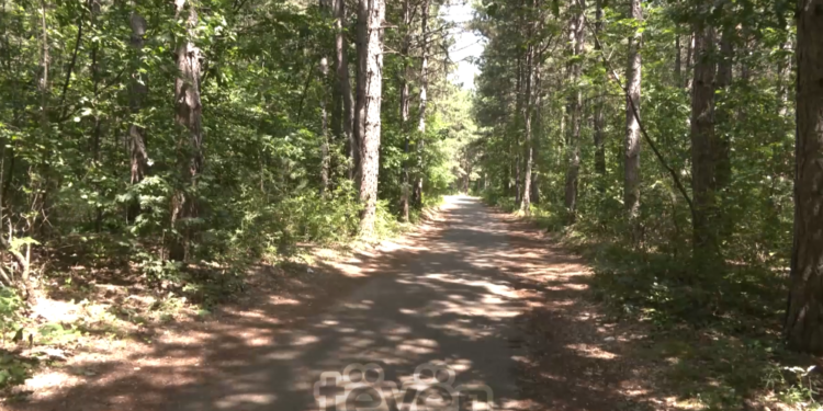 Parku i Pishave në Sllatinë përplot mbeturina