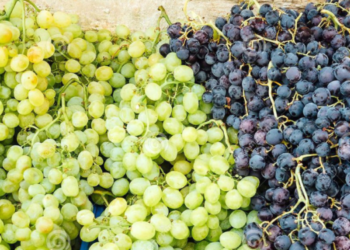 Rrushi i bardhë apo i zi? Cili është më i shëndetshëm