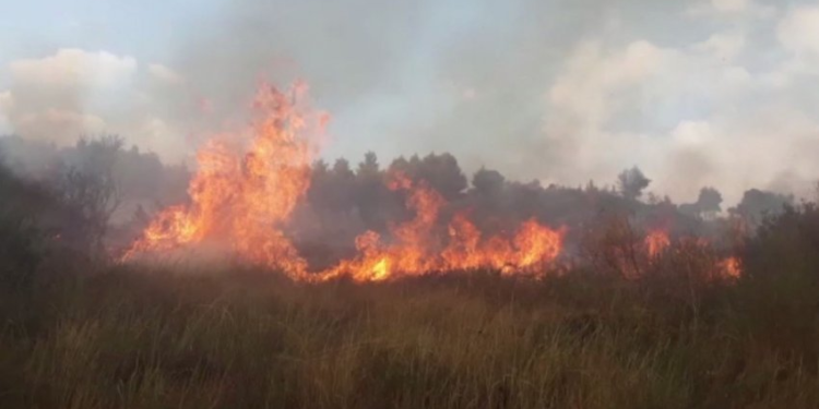 Temperaturat e larta, Policia bënë thirrje që qytetarët të shmangin ndezjen e zjarreve