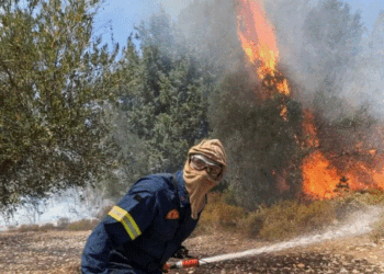 Zjarret në Mesdhe vranë më shumë se 40 persona