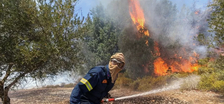 Zjarret në Mesdhe vranë më shumë se 40 persona