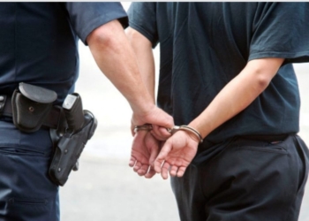 Arrestohet në Kaçanik personi i kërkuar për vjedhje të pyjeve