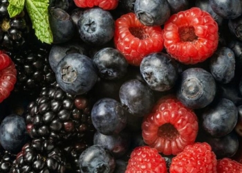 Këto fruta të pyllit bëjnë mrekulli në trupin tonë