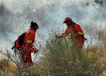 ​Shuhen 10 vatra zjarri në 24 orët e fundit në Shqipëri