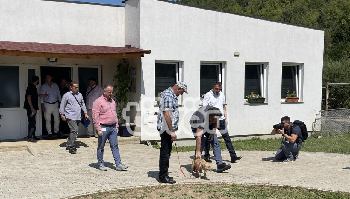 Nënshkruhen kontratat e para për adoptimin e qenve endacakë