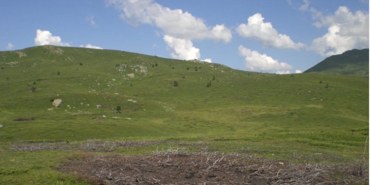 Shoqërohen në Polici dy persona për ndërtim pa leje në Bjeshkët e Botushës