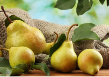 Dardha – fruti që dardanët i falën botës