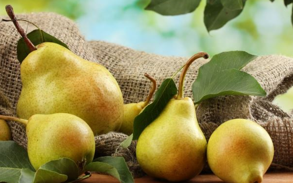 Dardha – fruti që dardanët i falën botës