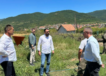 Krasniqi e Rashiq vizitë në Leposaviq