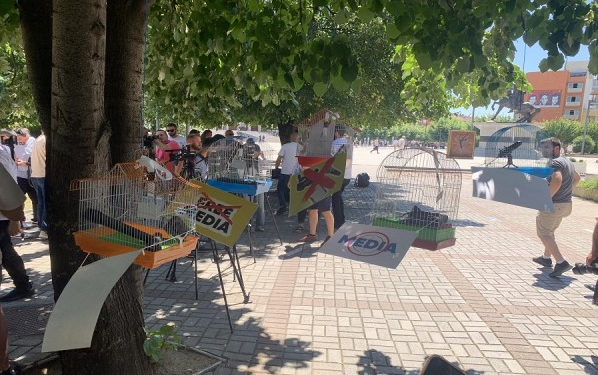 PSD vendosë 5 kafazë në oborrin e Qeverisë