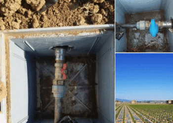 Zbulohet një plantacion i madh në Bardhosh, ujitej ilegalisht me ujë të pijshëm