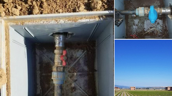 Zbulohet një plantacion i madh në Bardhosh, ujitej ilegalisht me ujë të pijshëm