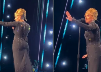 Adele ndalon performancën në Las Vegas për të ndihmuar një fans që po ngacmohej nga një roje sigurie