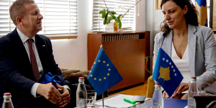 Szunyog e Rizvanolli diskutojnë për zbatimin e planit për Efiçiencë të Energjisë