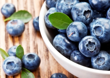 Boronica, një aleat kundër tensionit e diabetit