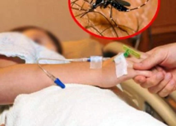 Ethet e Nilit “shfaqen” në Evropë, ja çfarë duhet të dini për sëmundjen vdekjeprurëse