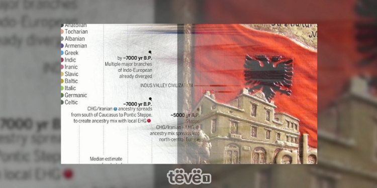 Vjetërsia e gjuhës shqipe