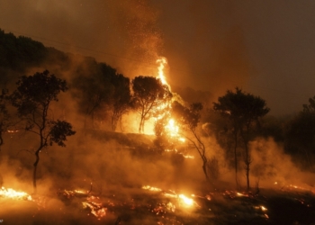 Greqi: 79 persona të arrestuar për zjarrvënie që lanë të vdekur së paku 20 persona