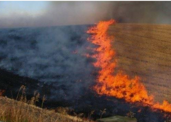 Prizrenasit i digjen rreth 40 hektarë tokë