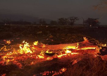Guvernatori i Havait: Ekipet e shpëtimit mund t’i gjejnë deri në 20 viktima në ditë