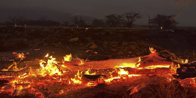 Guvernatori i Havait: Ekipet e shpëtimit mund t’i gjejnë deri në 20 viktima në ditë