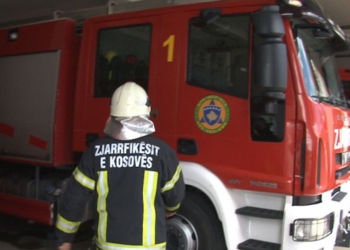 Digjet një sipërfaqe tokë pjellore me fidane në Vushtrri