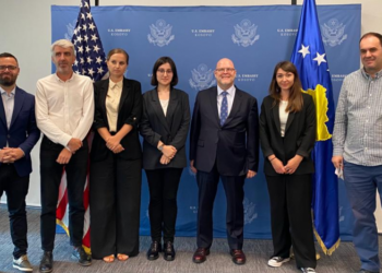 Hovenier: Mediat e lira dhe të pavarura, thelbësore për demokracinë