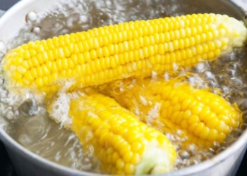 Efektet pozitive të të ngrënurit misër