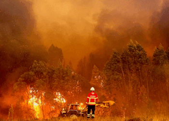 Portugalia lufton me zjarret në mes të valës së tretë të të nxehtit të këtij viti