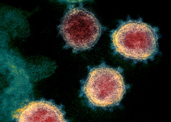 Një variant i ri i COVID-19 po përhapet në Mbretërinë e Bashkuar