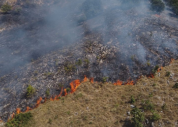 I vënë flakën arës në Hade të Obiliqit, dëmtohen mbi 1 mijë trupa të arrave