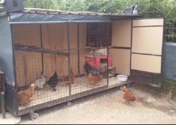 Një grua në Skenderaj gjen pushkë në kotec të pulave