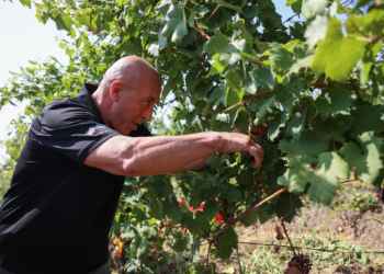Haradinaj nga vreshtat e Rahovecit: S’guxojmë të largohemi nga aleatët